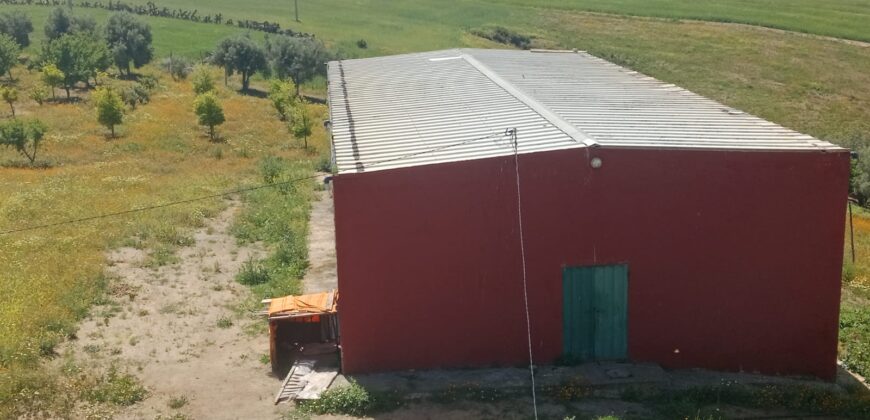 Ferme à vendre prés de Rabat-2 ha avec maison et écurie