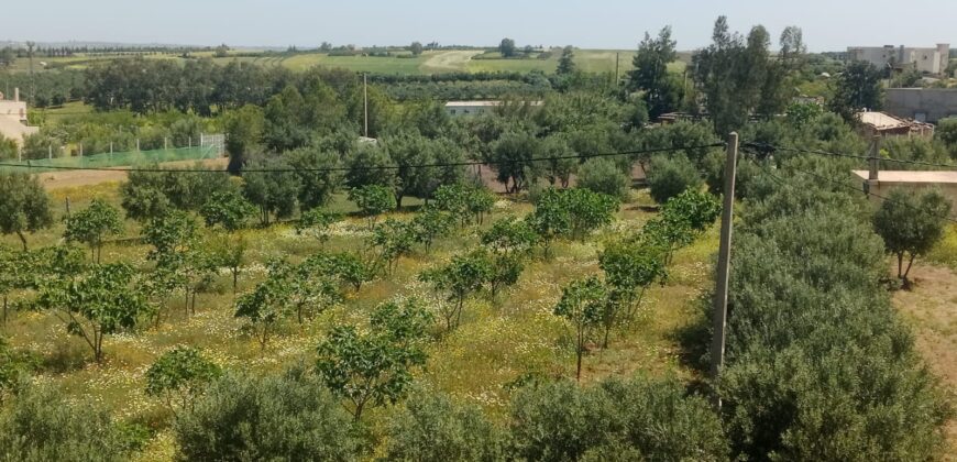 Ferme à vendre prés de Rabat-2 ha avec maison et écurie