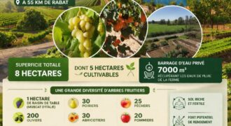 Ferme à vendre Benslimane 8 hectares – terrain agricole