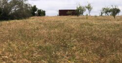 Ferme à vendre Sidi Allal Bahraoui 4 hectares