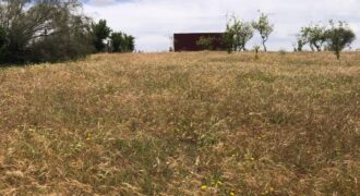 Ferme à vendre Sidi Allal Bahraoui 4 hectares